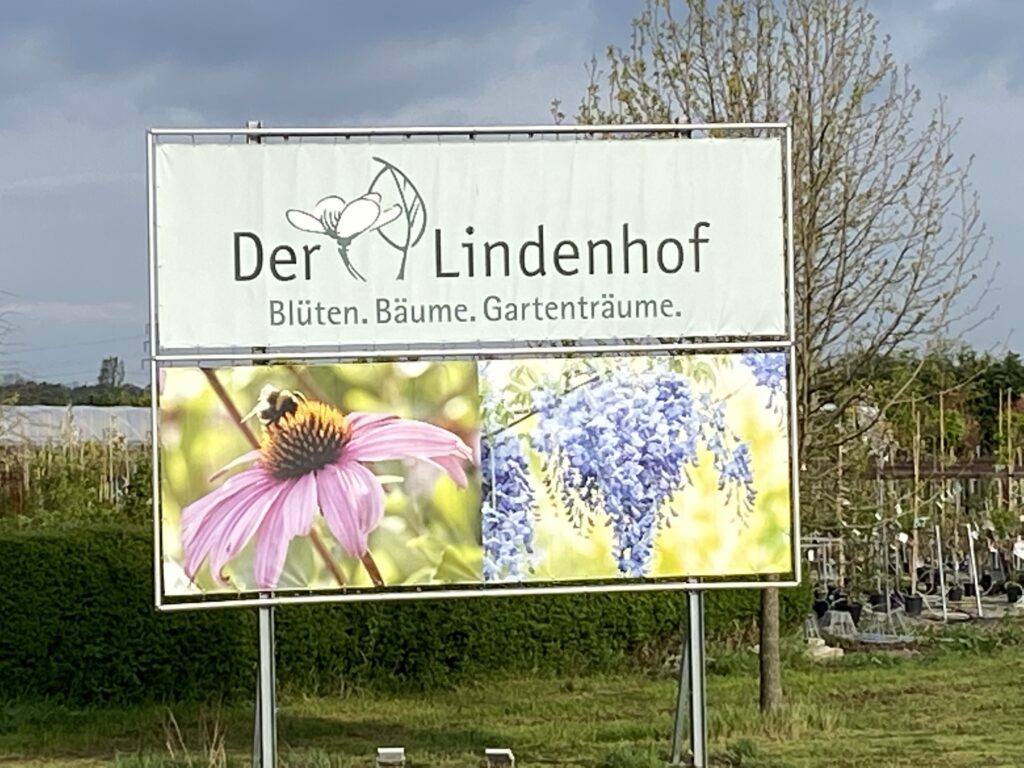 Gärtnerei Lindenhof Blumen in Bensheim-Auerbach